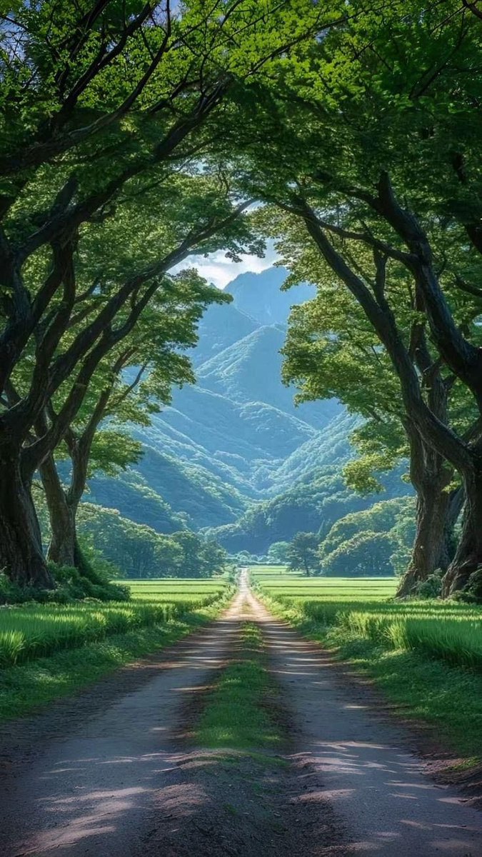 Yol üzeri böyle bir yerde şöyle durup birazcık serinlesek..
O da bize yeter..
Garip Yolcu
