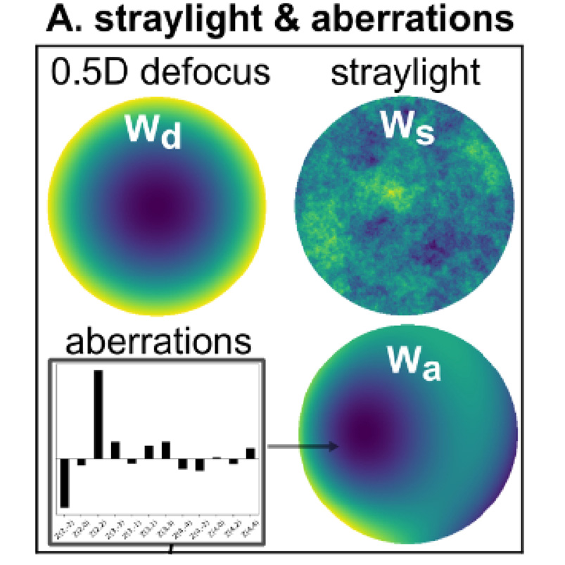 OpticaPubsGroup's tweet image. Via #OPG_BOEx: Deep learning ocular aberration retrieval from simulated retinal images under straylight bit.ly/4ohx71N #WavefrontRetrieval #PointSpreadFunction