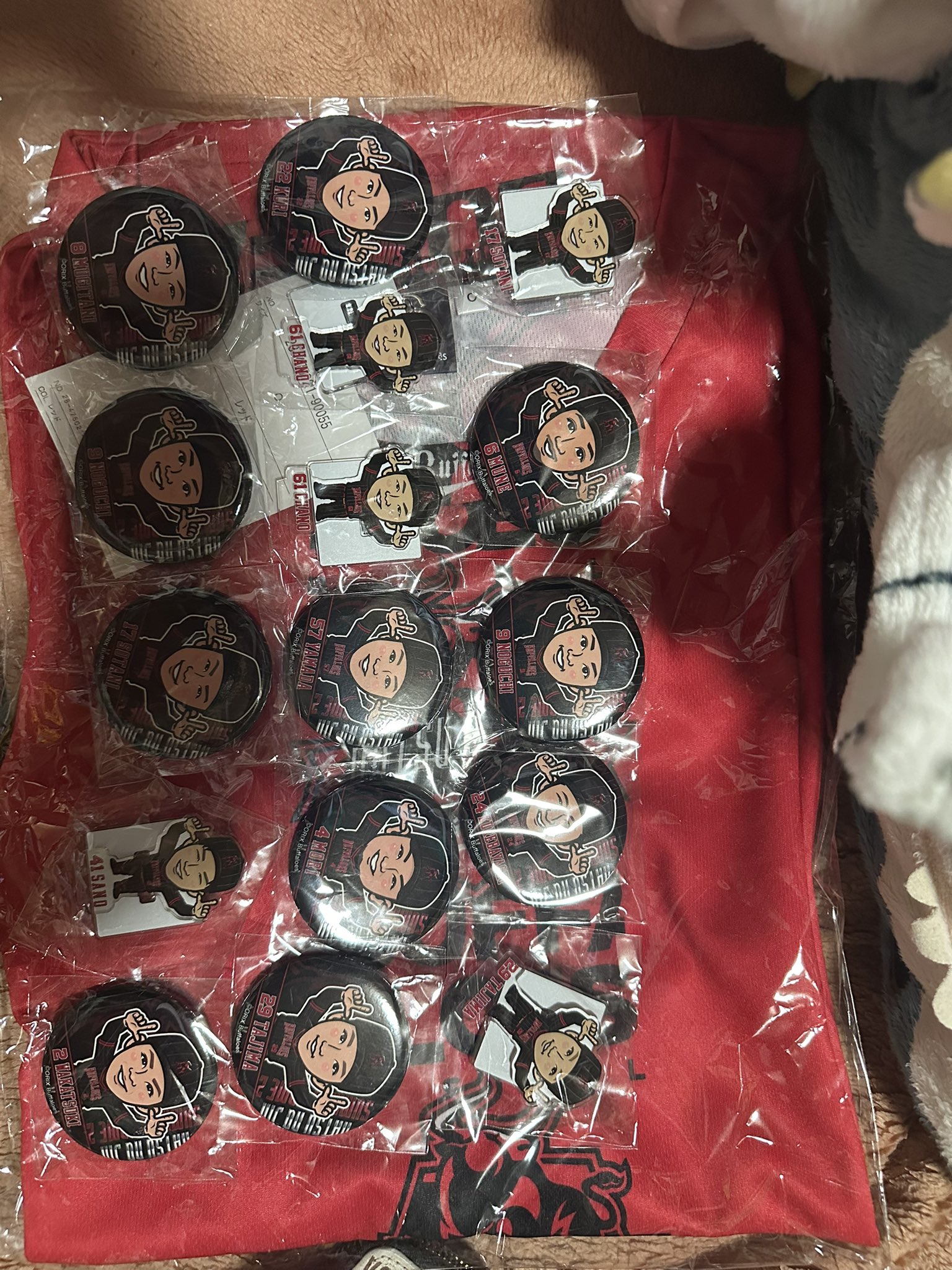 龍玄とし　2021メモリアルバッジ Yostar OFFICIAL SHOP ONLINE / JR秋葉原駅店 缶バッジセット