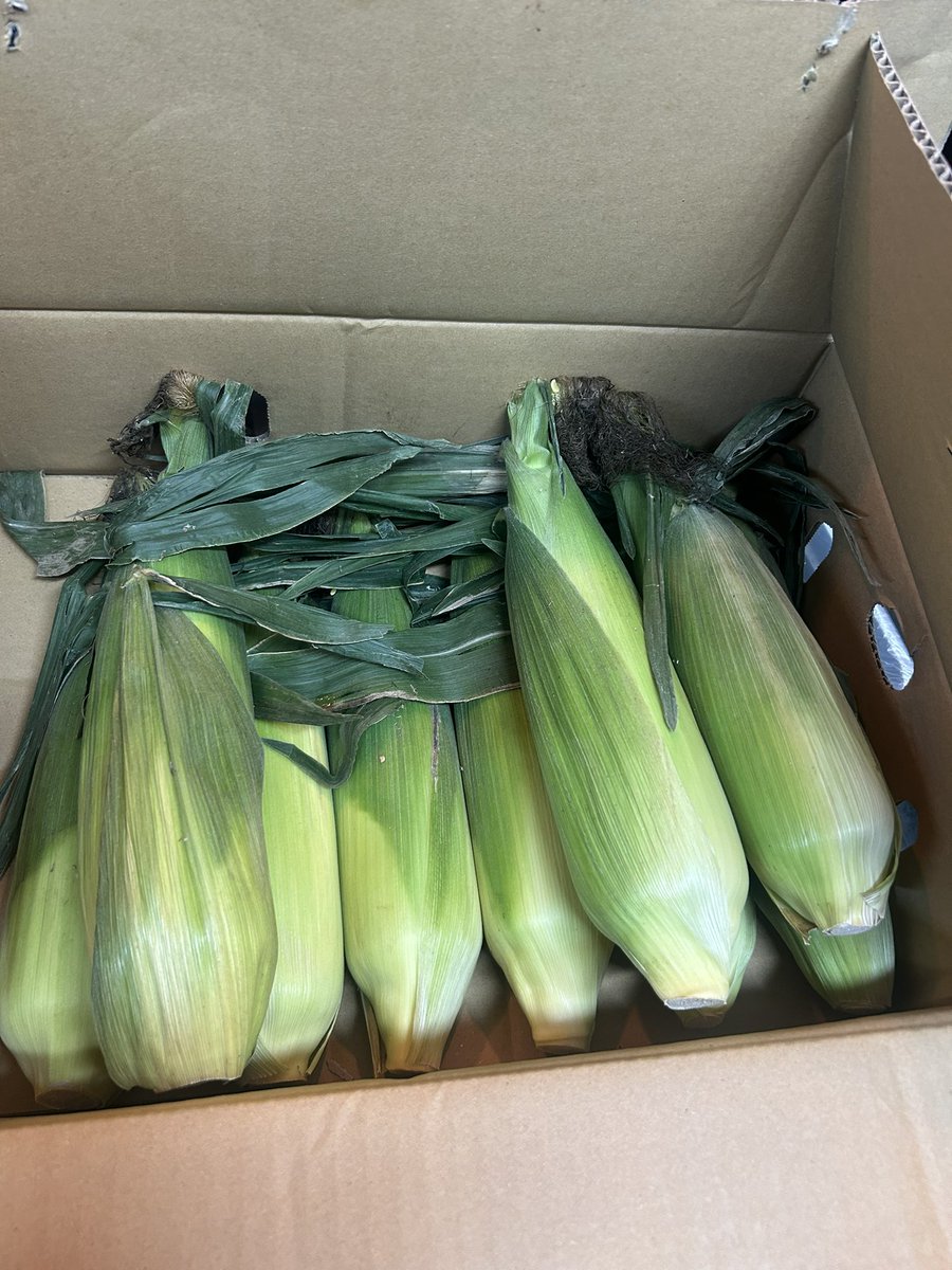0212_start's tweet photo. 次の限定の仕込み🌽🌽
みんな大好きな限定を🍜✨ https://t.co/8uBe7zRLog