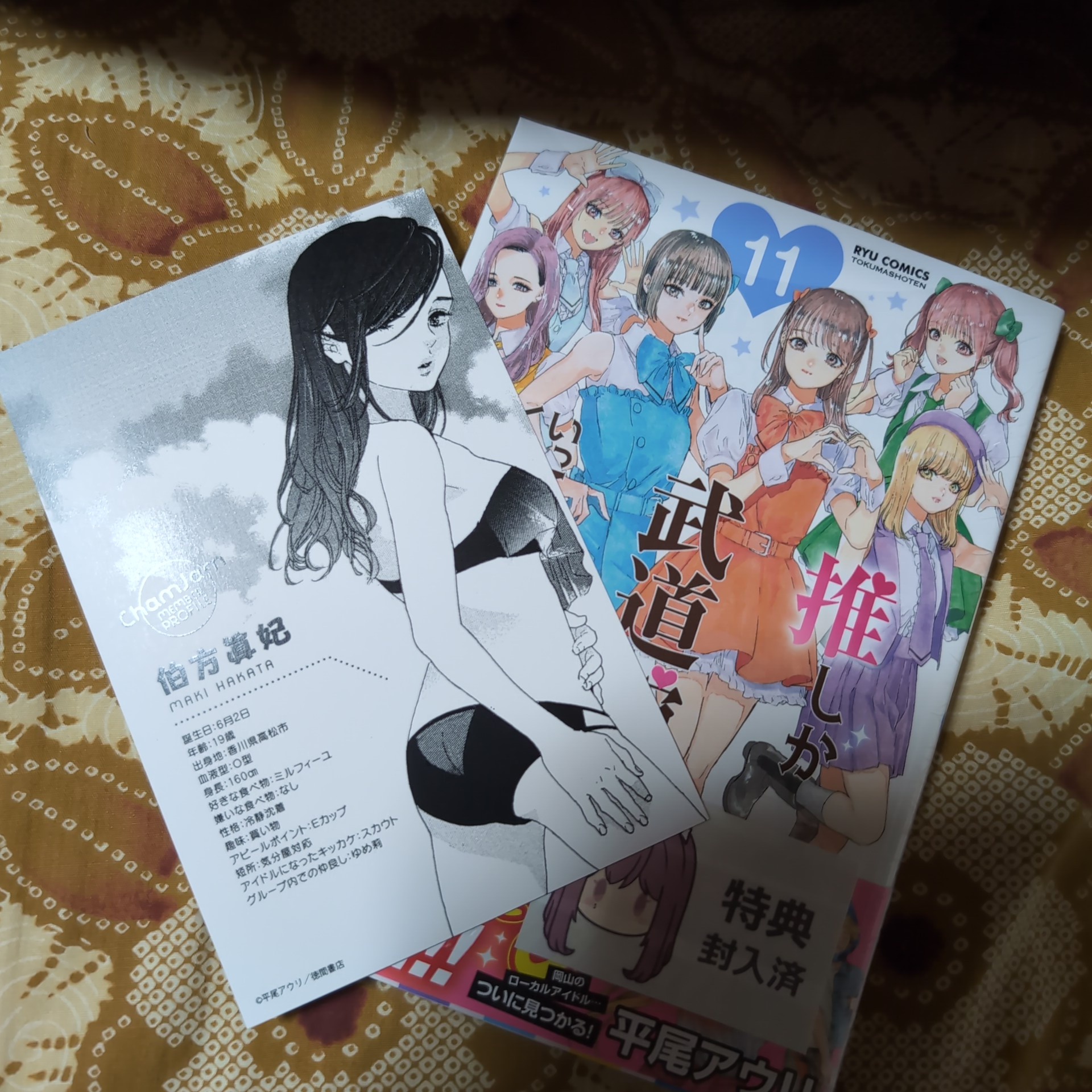 わんぷり　感謝祭　額装高精細アート〈最終話エンドカード〉 わんだふるぷりきゅあ！感謝祭【公式】 on X: 