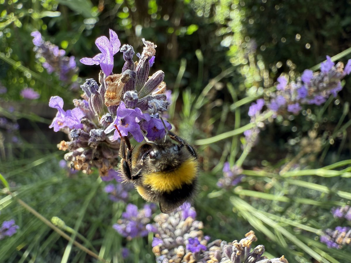 Trying to get a few decent 📷 shots ⚠️ 🙌🏻