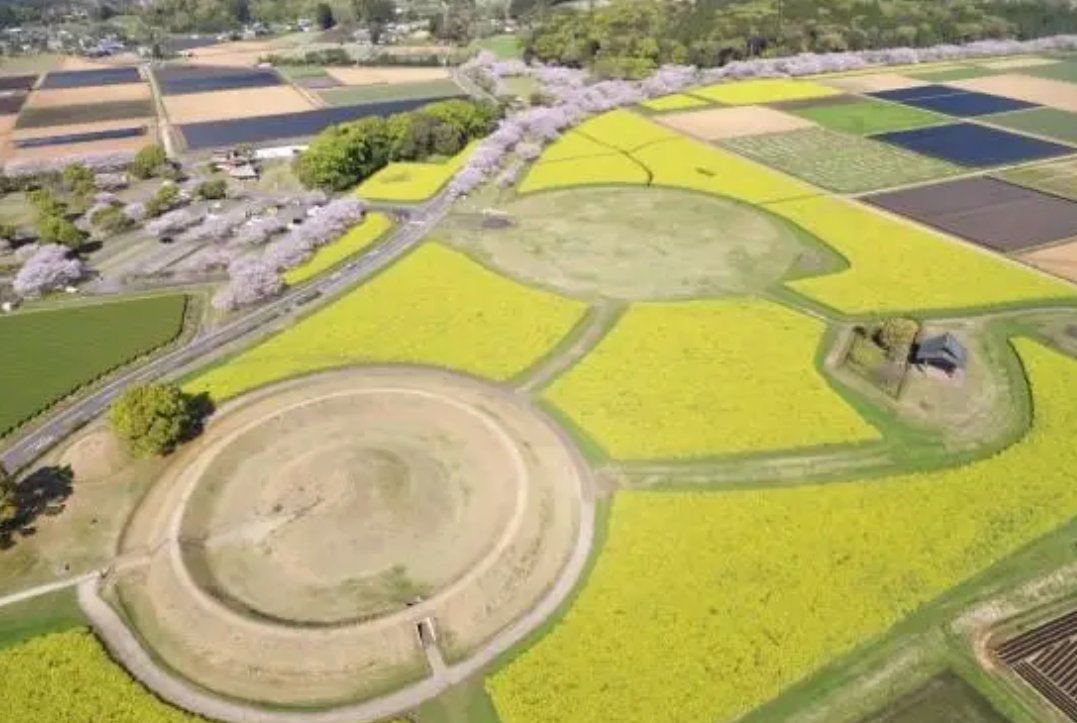 【宮崎の観光スポット】
 「西都原古墳群」
ツーリングで立ち寄るのにぴったりの絶景スポット。
南北約4.2km、東西約2.6kmにわたって300基以上の古墳が広がり、圧倒されるスケール感です。

春は桜と菜の花、夏はヒマワリ、秋はコスモスと、季節ごとに表情を変える風景も見どころです。