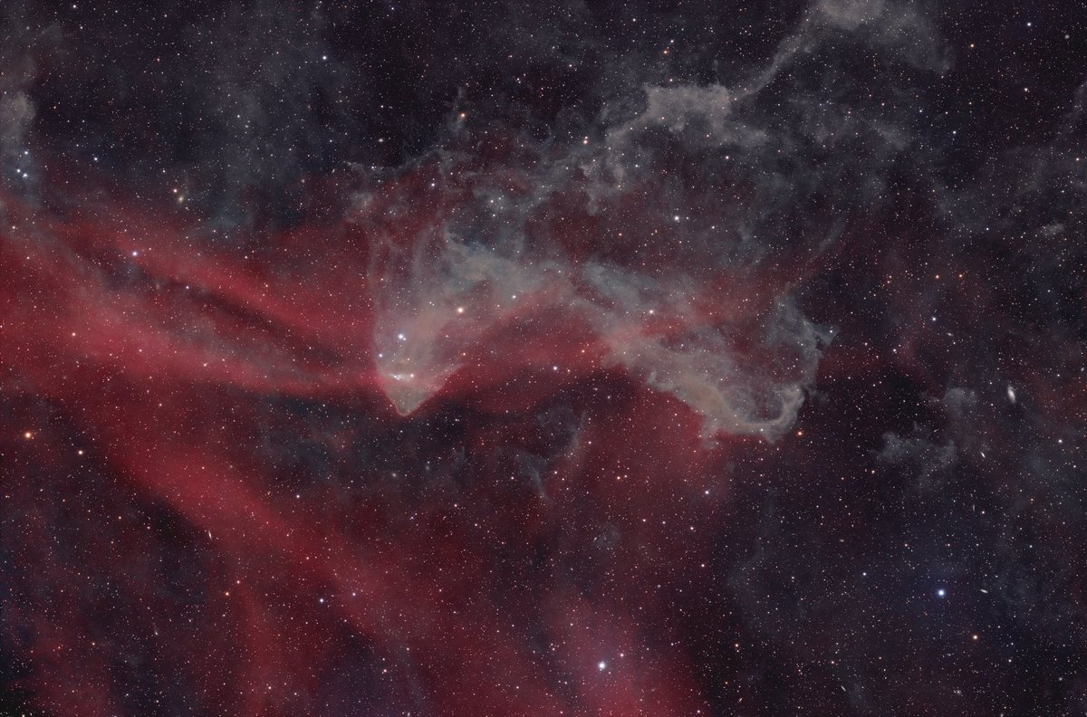 This is the famous Gecko Nebula in the (aptly named) constellation of Lacerta (The Lizard)…🔭📸🦎

My image is made up of nearly 40 hours worth of exposure time, which consists of Ha and LRGB filters through a mono camera. 

⏱️ 38h 49’
🎯 LBN437 ‘The Gecko Nebula’
🔭 StellaMira