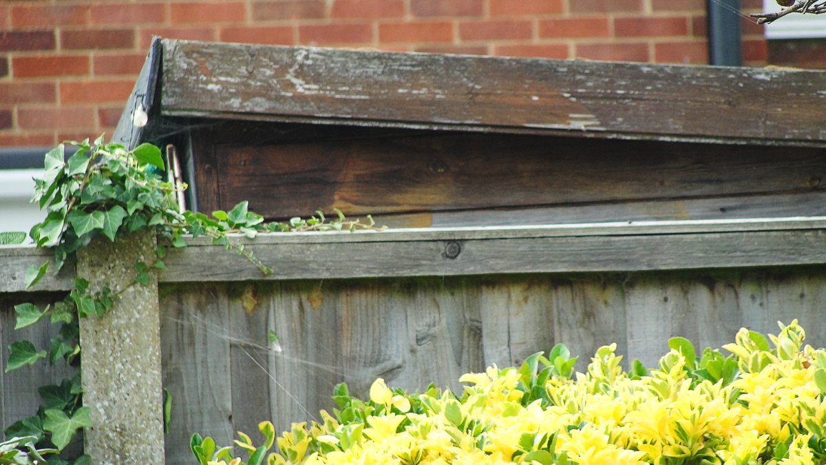 When your neighbour's shed is spying on you...