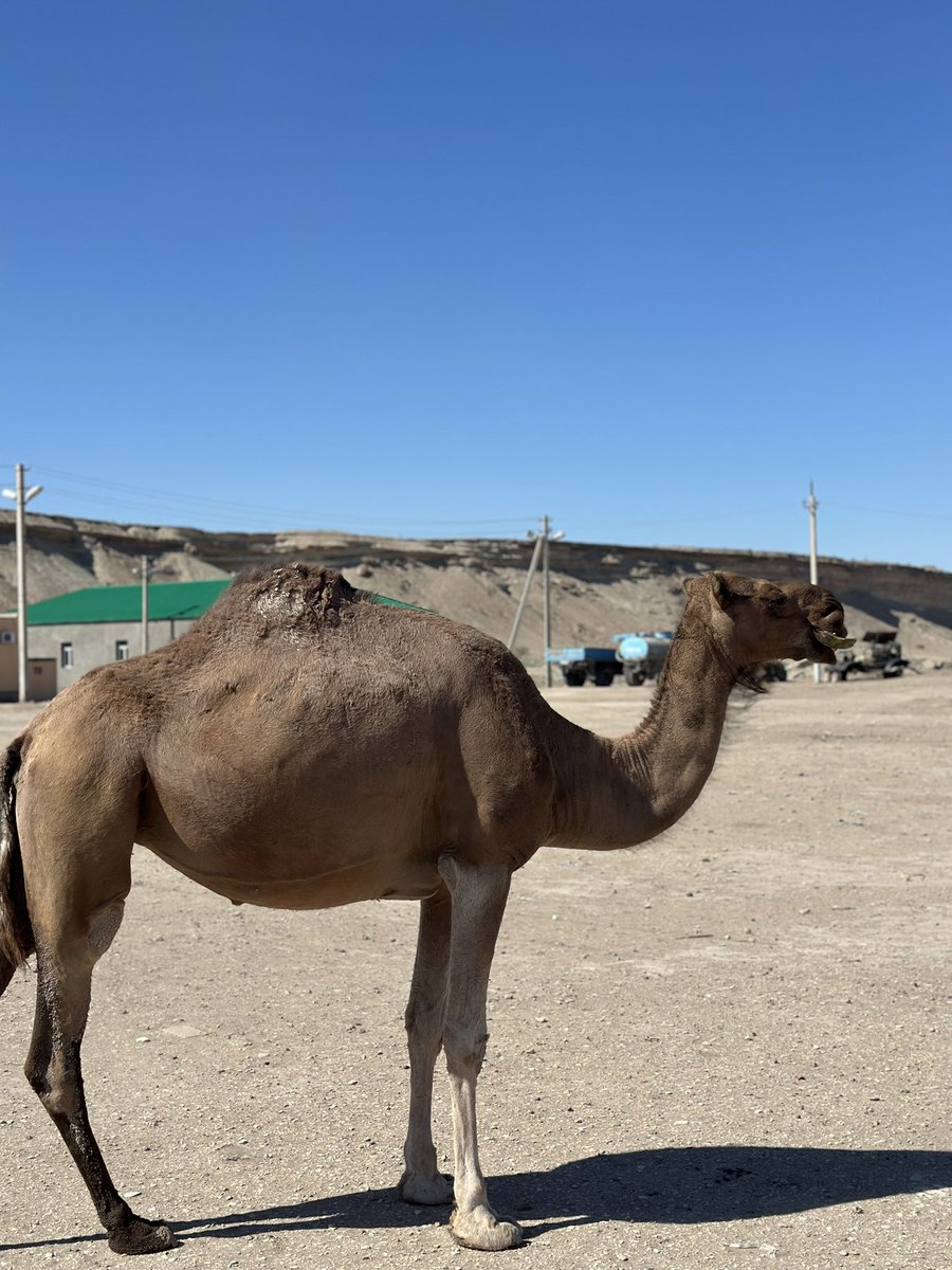 Yssyda daş yola gidildi yone  in gowy gecen gunlerimden biri boldy