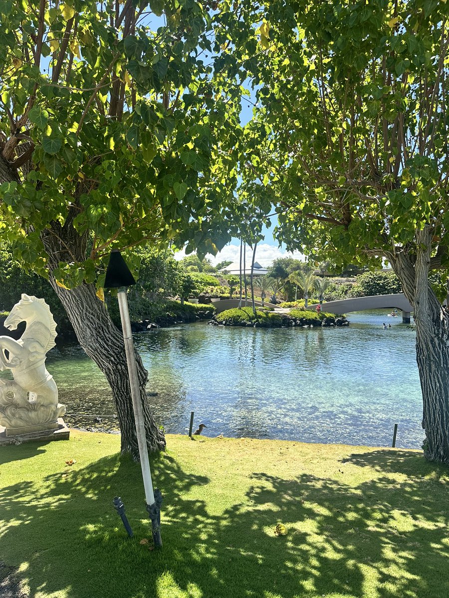 SweetTalkBook's tweet image. Take a moment and say out loud 3 things you are grateful for, followed by 3 deep breaths. You’ll feel your energy change.