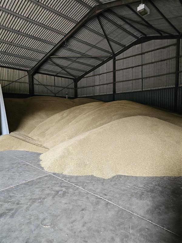 RSPBHopeFarm's tweet image. 30/07/25 - That's a wrap on harvest 25 🤯I think must be in the record for one of the earliest finishes we've had?