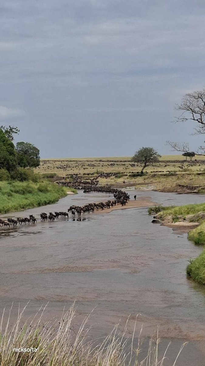 Neptune Hotels tweet media