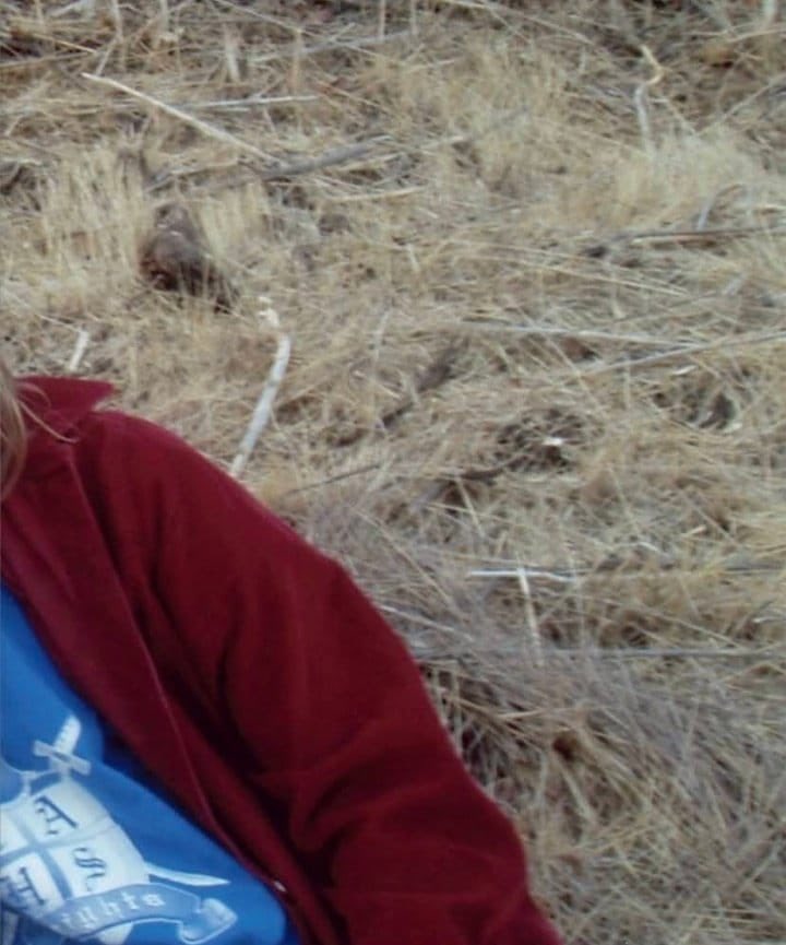 happy birthday, finneas!