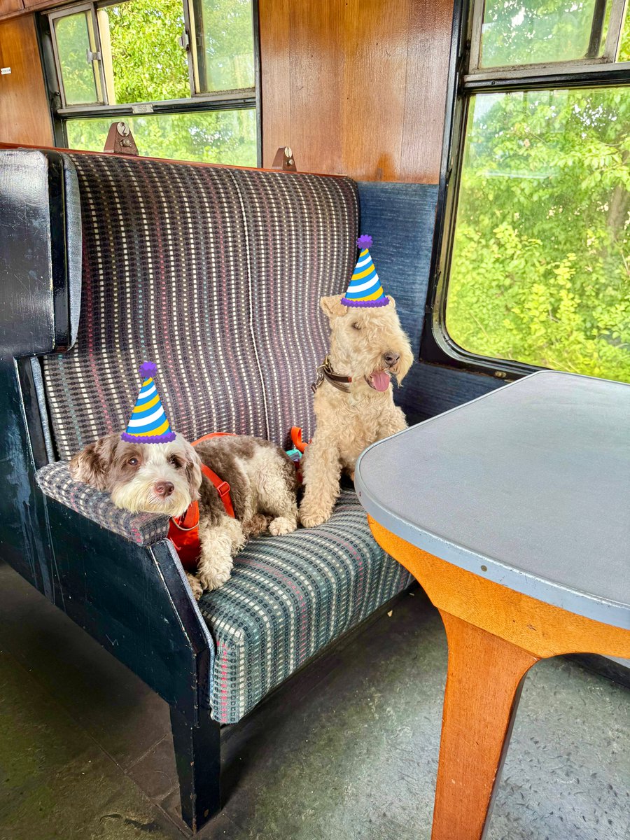 Today is a very very important pals birthday she is a friend and virtual companion to all of the dogs of ‘X’ and is the kindest soul you could imagine so please join me and wish <a href="/faymac/">FayMac</a> a very Happy Birthday ❤️❤️❤️❤️❤️