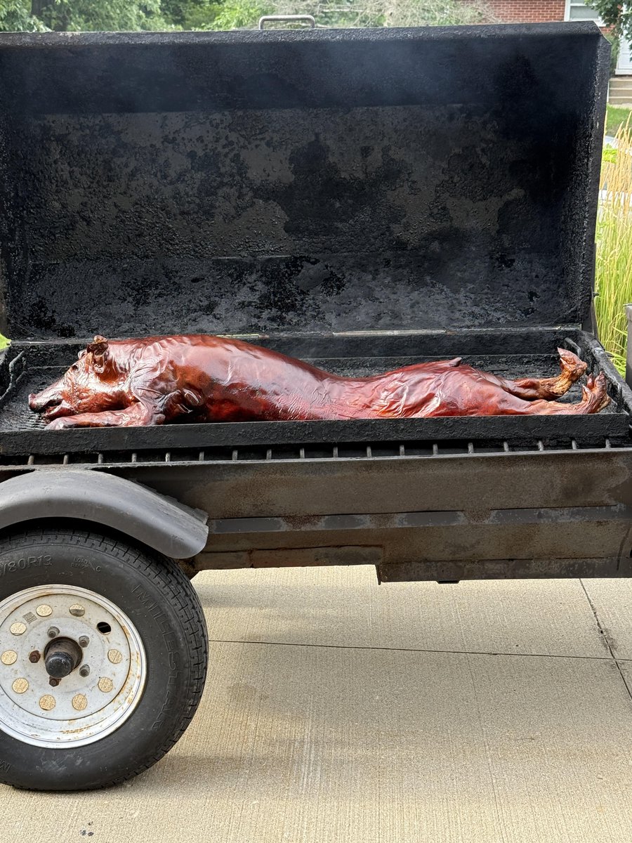 SarantosMelogia's tweet photo. Pig roast!

#pigroast #bbqday #roastpig #outdoorcooking #firepitfeast #meatlovers #slowroasted #wholehog #bbqstyle #cookoutvibes #grillparty #feastmode #backyardbbq #bbqscene #rusticcooking #woodfired #smokeandmeat https://t.co/gjOWO8DXFP