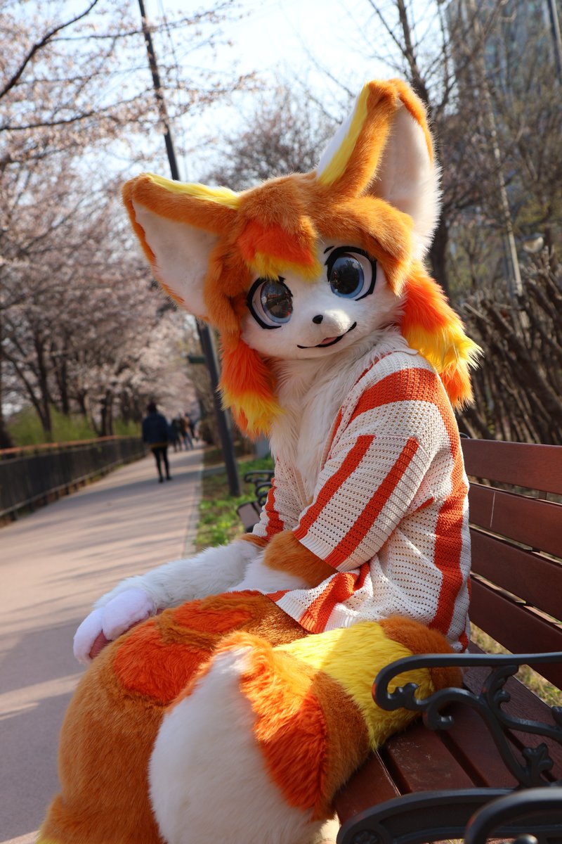 밖에 나가 놀기엔 너무 더워💦
📸: <a href="/raccoonus66/">Raccoonus</a> 
#FursuitEveryday