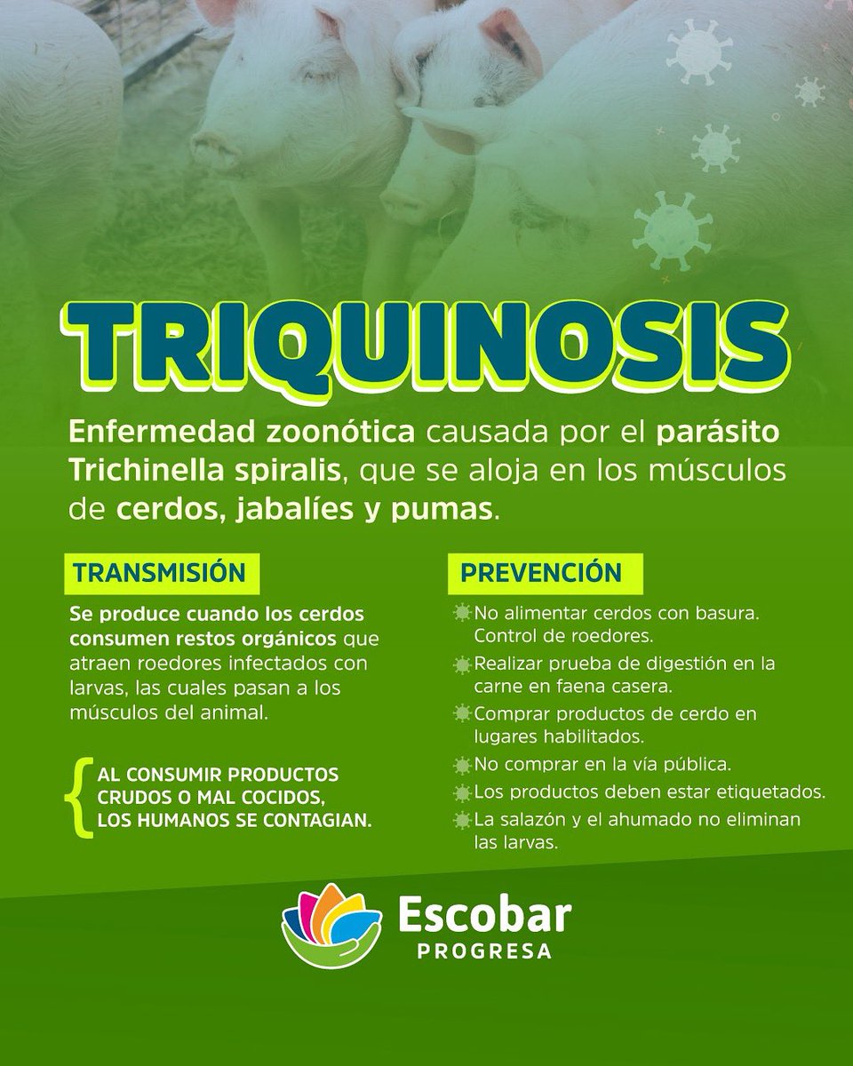 ANTE EL BROTE DE TRIQUINOSIS EN LA PROVINCIA DE BUENOS AIRES, REFORZAMOS LA PREVENCIÓN

En nuestro distrito ya se confirmaron 5 casos de triquinosis y hay al menos 40 casos en toda la provincia de Buenos Aires.

Más info 👉🏾 acortar.link/NpWvY2