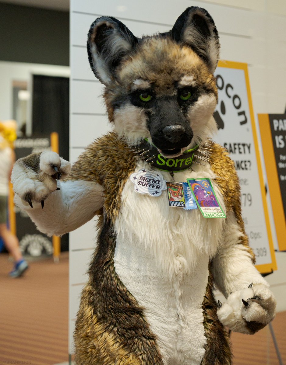 You, yeah you! You got this! 💚🐾

📸: <a href="/AbrahmLion/">α Lion 📷🎼🦁</a> 
 
#fursuit #fursuits #fursuiter #furry #furryfandom #dhole #raptor #fursuiting #furrycommunity #furrys