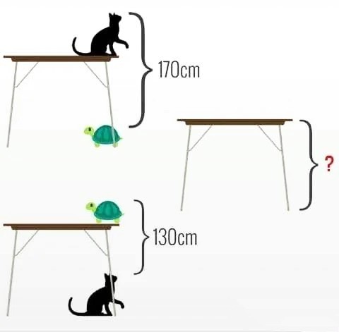 DailyPuzzlee's tweet image. How tall is the table ?