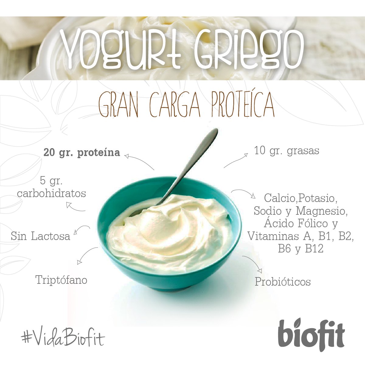 CONOCE LOS BENEFICIOS DE COMER YOGURT GRIEGO