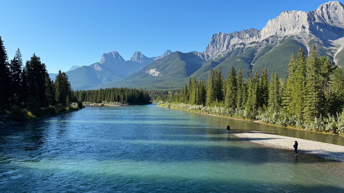 07/30/25: Seagulls have returned to Seagull Island. #Canmore The Old timer coal miner says that means 6 wks until first frost, so ~ mid-September. The Bow River is running fairly clear here exhibiting an aqua-teal colour while in Calgary it’s muddy, high &amp; fast. #ShareYourWeather
