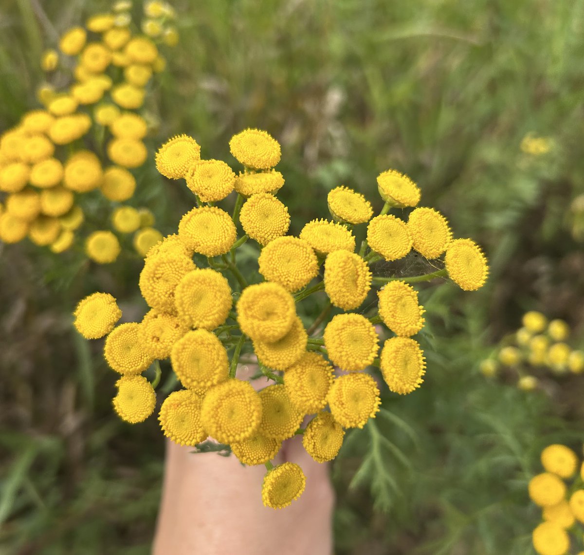 I’m grateful ❤️

What a day.

Just remember: everything else can be replaced, but people can’t.

Take care of yourself and your loved ones. 🙏🏻