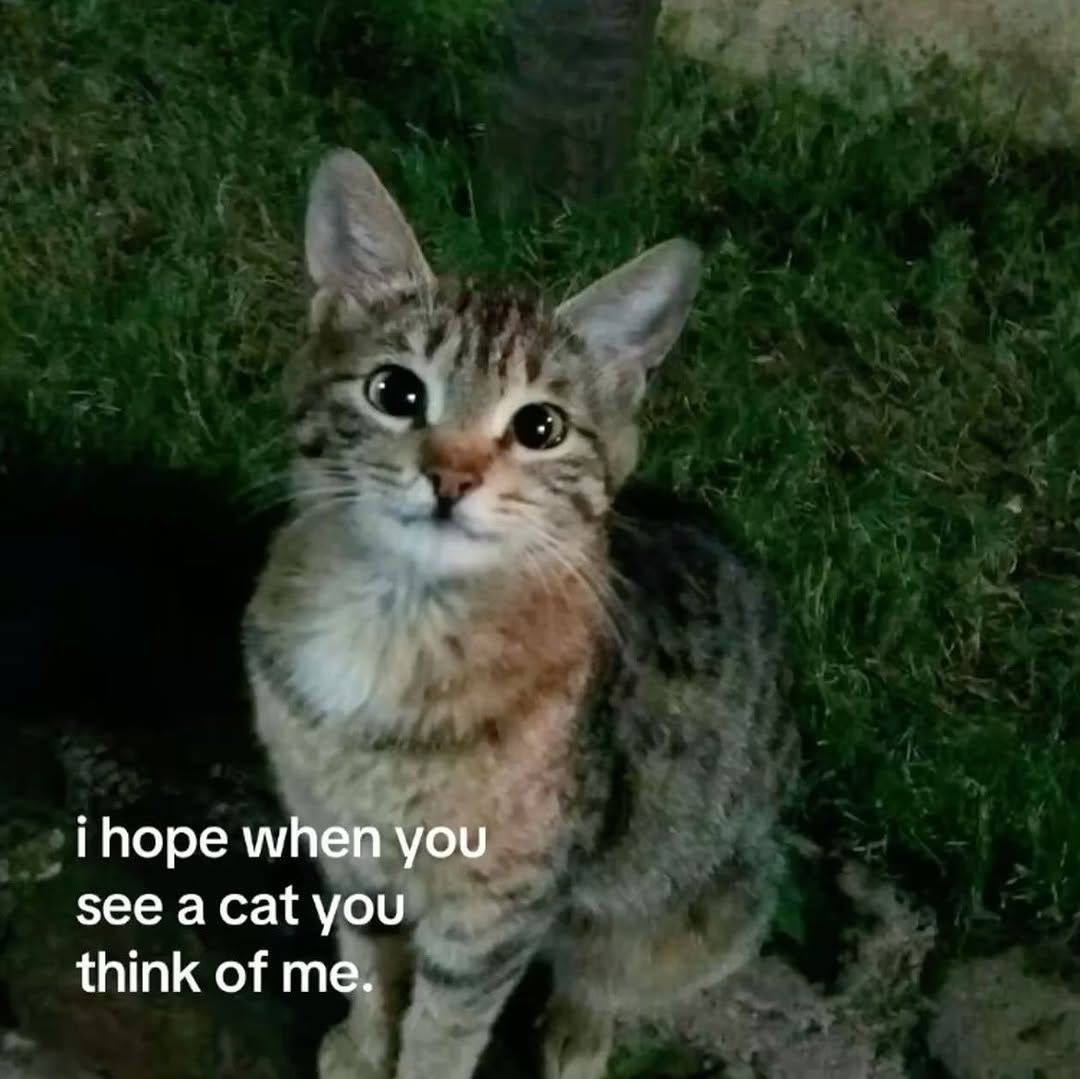 mista 🪢 (ascension arc) (@0xmista) on Twitter photo 