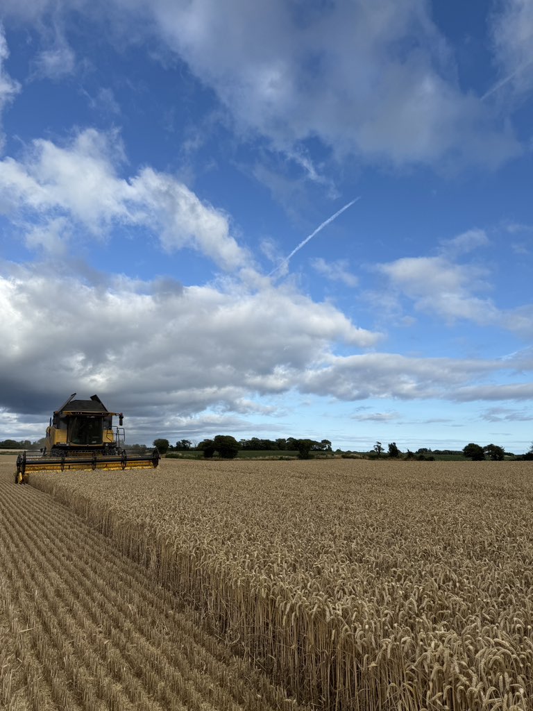 Ryan Hyden tweet media