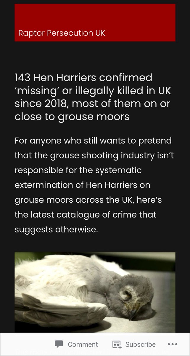 @andygell.bsky.social (@gellandy) on Twitter photo 