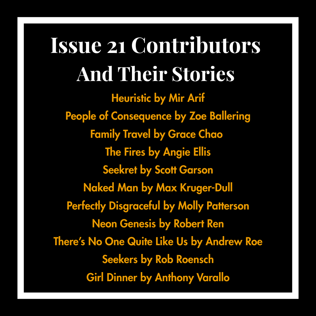 New issue loading...We are pleased to announce the contributors and their stories for Issue 21 of Story!