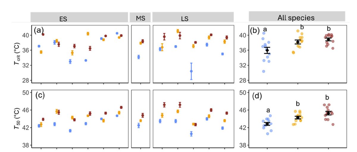 Plant Cell & Environment (@plantcellenvir) on Twitter photo Climate warming raises the risk of harmful leaf temps, especially in tropical trees adapted to stable heat. Our study in Rwanda shows these species have limited ability to acclimate, risking photosynthetic damage as temps rise.
onlinelibrary.wiley.com/doi/epdf/10.11… <a href="/wileyplantsci/">Wiley Plant Science</a> #OpenAccess Climate warming raises the risk of harmful leaf temps, especially in tropical trees adapted to stable heat. Our study in Rwanda shows these species have limited ability to acclimate, risking photosynthetic damage as temps rise.
onlinelibrary.wiley.com/doi/epdf/10.11… <a href="/wileyplantsci/">Wiley Plant Science</a> #OpenAccess