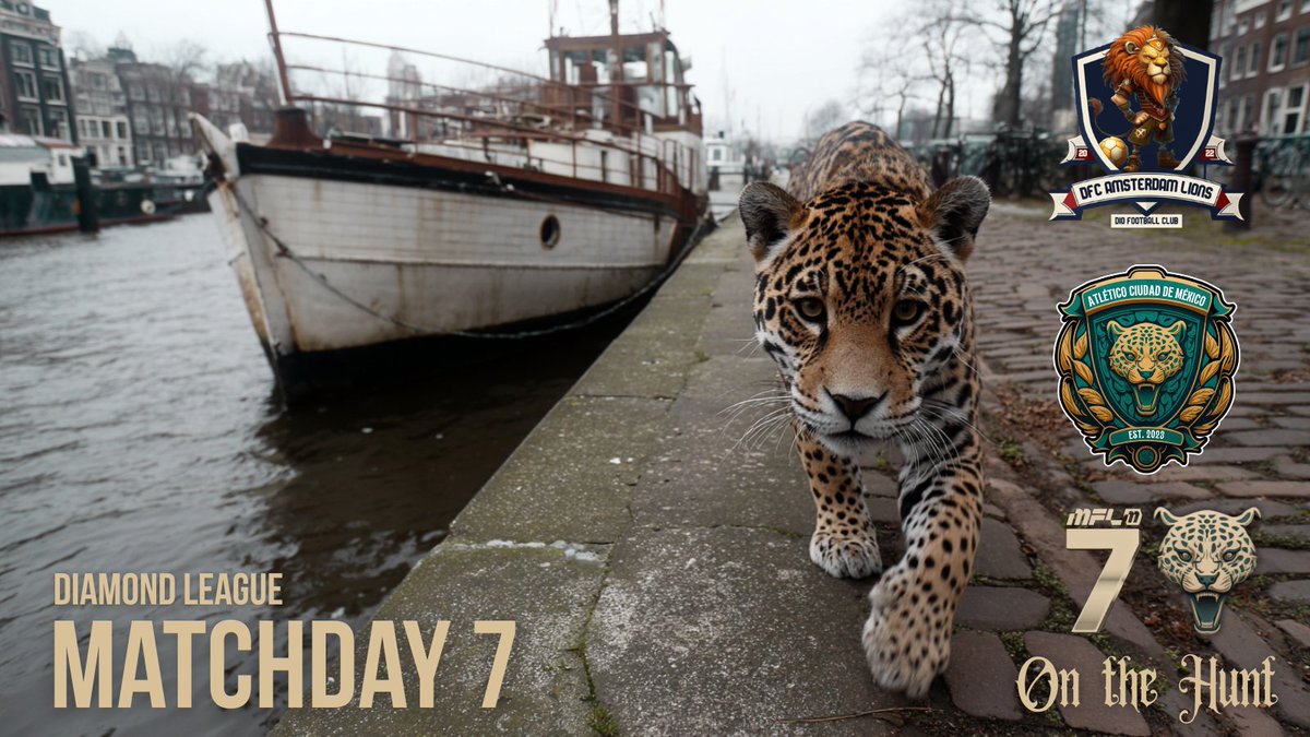 The hunt heads north.
Atlético Ciudad de México takes on the Amsterdam Lions at 5 PM ET.

#OntheHunt #AtléticoCDMX #Web3Gaming <a href="/playMFL/">MFL</a> <a href="/MFLdiamond/">MFL Diamond League</a> #FootballManager