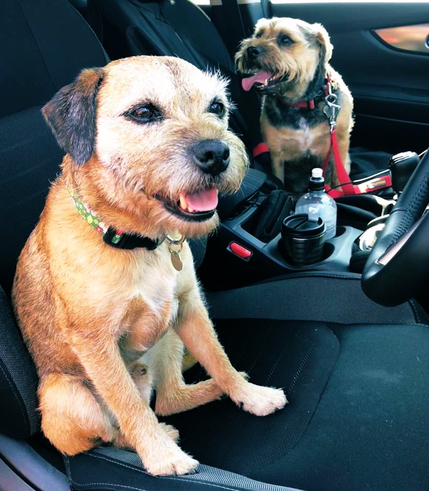 Jo Fowles tweet media