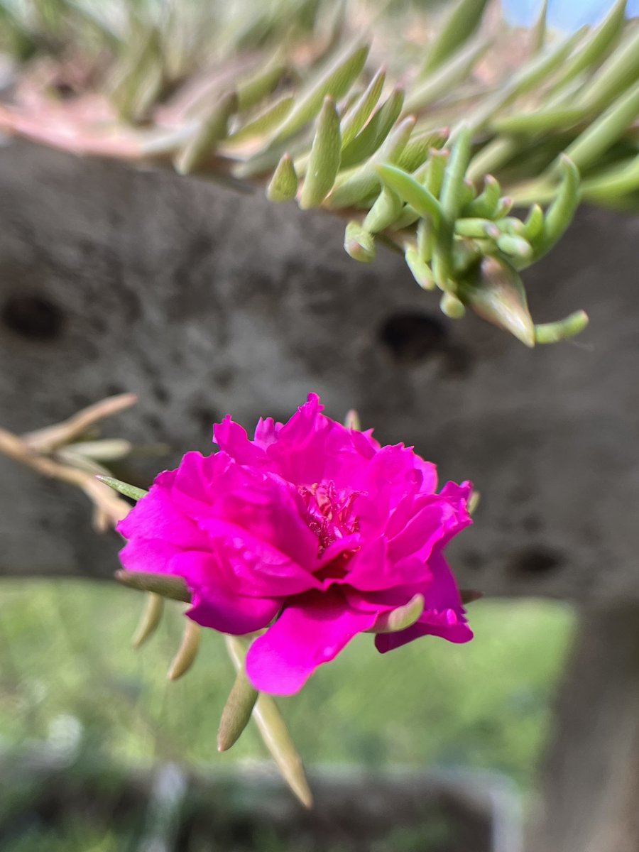 A veces solo necesitar respirar y confiar en Dios. 

#FrasesParaElAlma