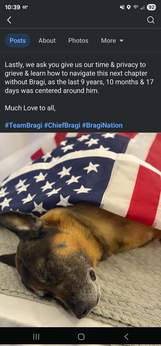 This hurts my heart. Run free sweet Bragi.🌈💔