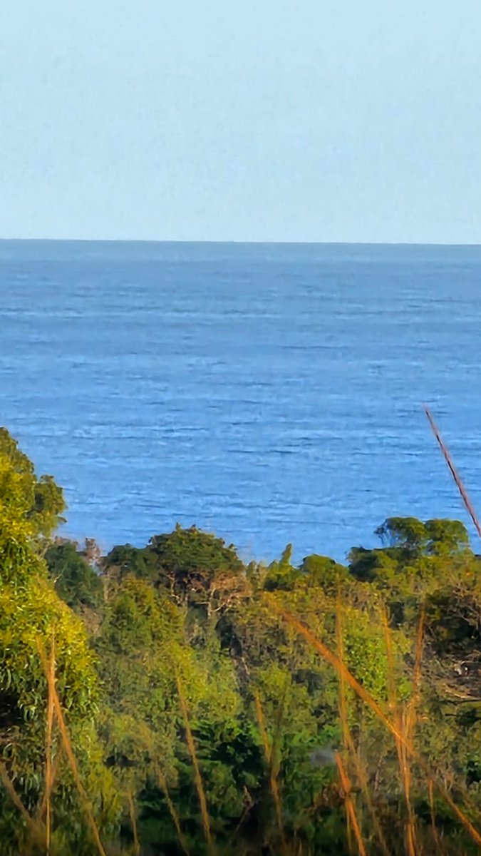Así se ve el mar en Rapa Nui, todo tranquilo a la hora anunciada por el SHOA de la llegada del tsunami. 
#IsladePascua