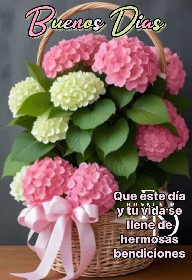 Excelente mitad de semana. 
#FelizMiercoles