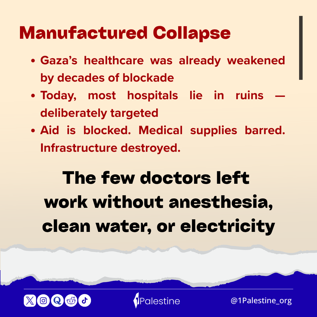 1palestine_org's tweet photo. https://t.co/WaEXTUCUDW