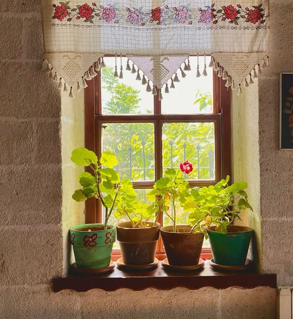 cmlgla's tweet photo. Çiçeğin rengiyle devr-i zamân.
Köhne duvâr, lakin dilde huzûr,
Sükûtu anlatır bâzen bir nûr. https://t.co/hwOYmaDofs