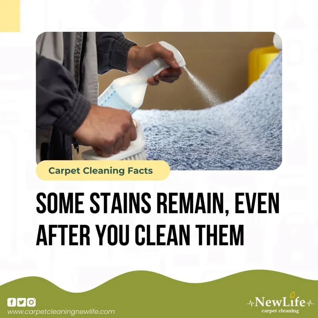 CarpetcleanZuev's tweet image. Some stains leave their mark on your carpet even after cleaning.

Unfortunately, these are the least pleasant kinds – urine, feces, and other bodily fluids.

Get a Free Estimate - carpetcleaningnewlife.com
Call Now - 1 (415) 941-8921

#sanfransisco #cleaningservices
