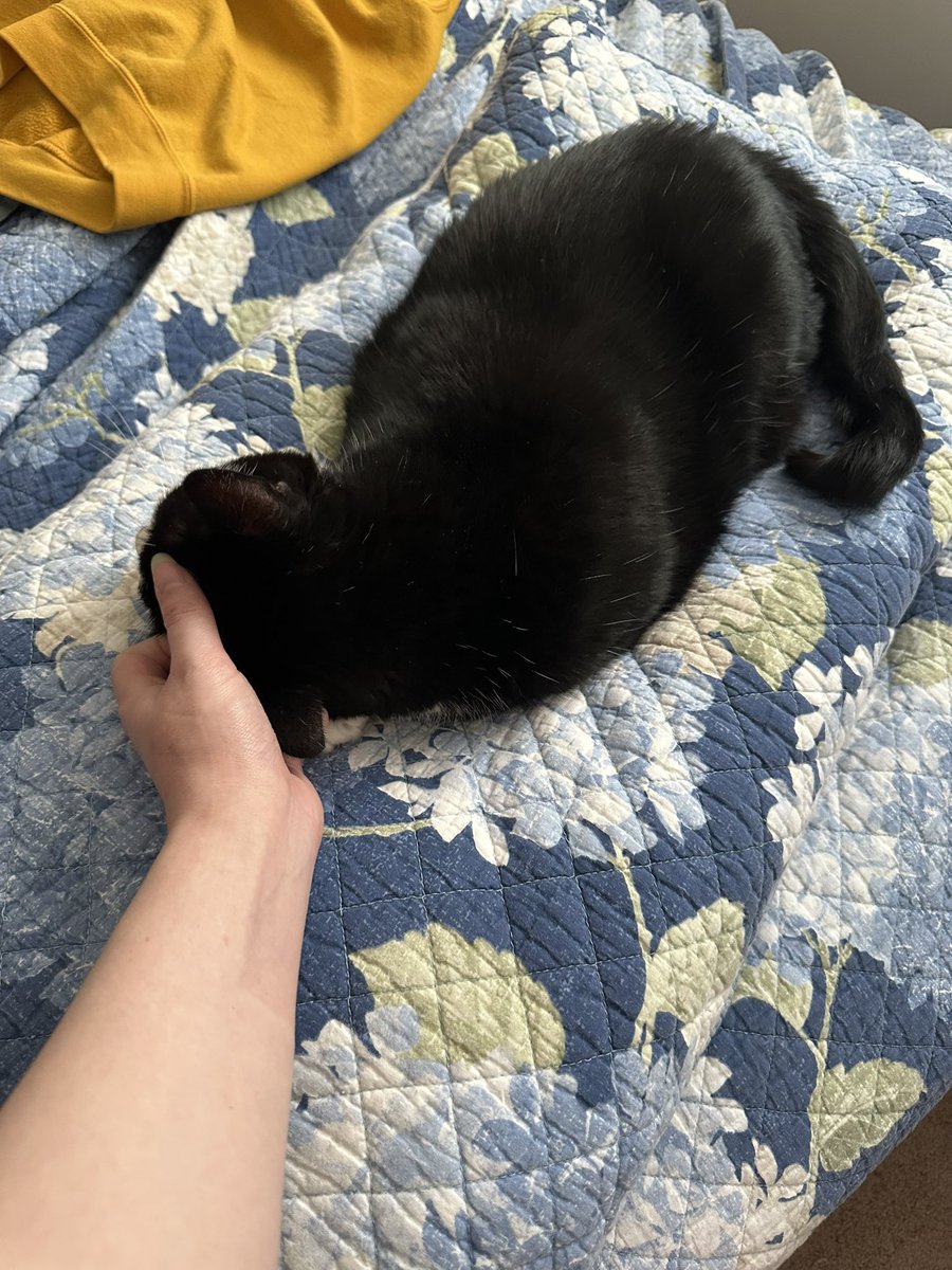 Good Mint from Moonie and I