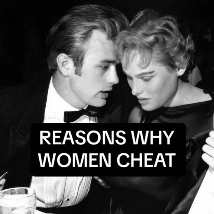 7 Reasons Why Women Cheat

(Female Psychology THREAD)