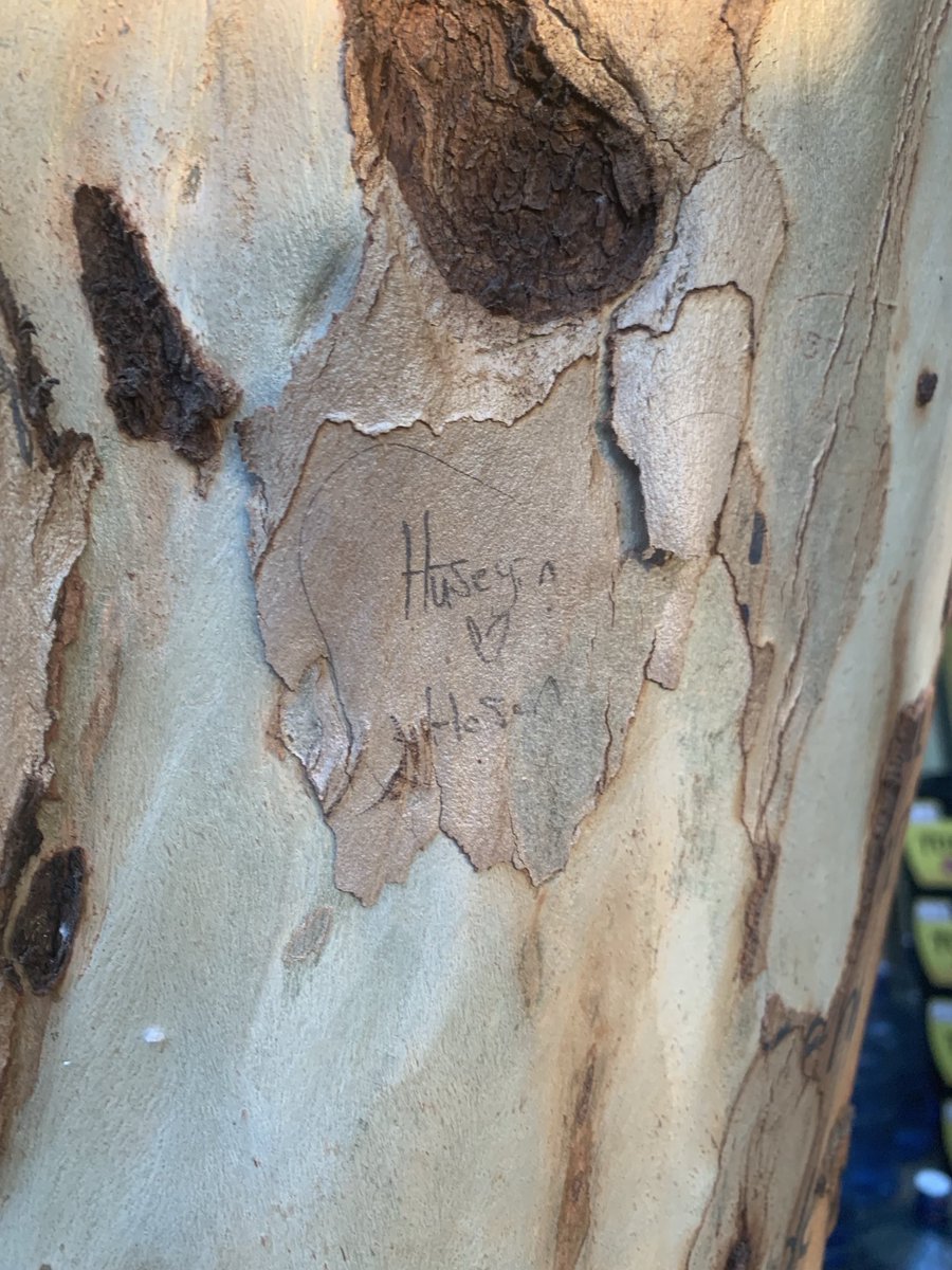 İnsanlar aşkını nerelere yazıyor biz kaldık böyle 🥳🥳🥳