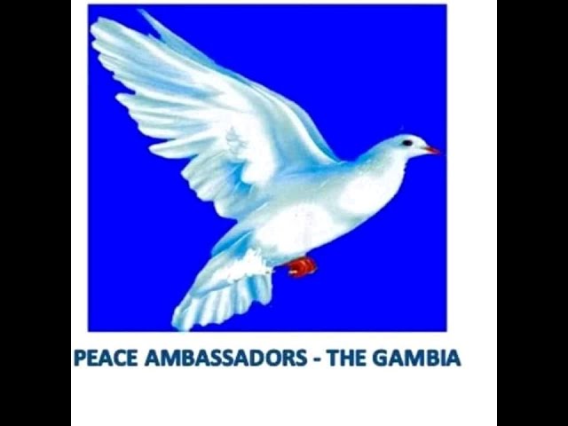 To Peace Ambassadors and Yankuba Manjang, you didn’t just preach peace. You lived it. Thank you for anchoring this election in civic values. 🕊️ #PeaceFirst