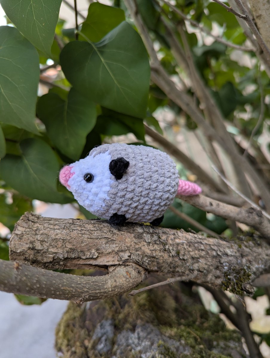 Un petit opposum en pleine exploration 🍃🌿

Et il est disponible de suite et sur commande sur ma boutique 😊