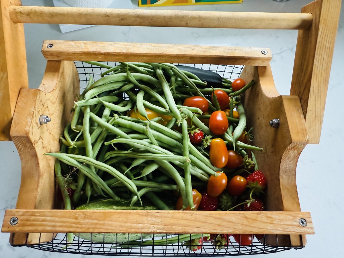 A productive harvest. 😋