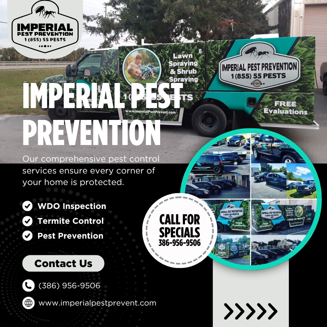 🪳 Guess who WON’T be crashing your summer BBQ?
That’s right—thanks to Imperial Pest Prevention! ☀️🍔
Say goodbye to ants, roaches, and uninvited creepy-crawlers.
✅ Safe
✅ Effective
✅ Bug-free bliss

📞 Call today &amp; take back your yard!