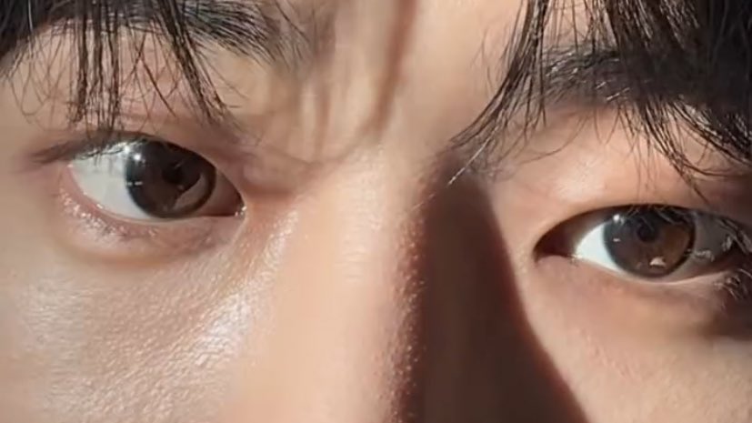 김수건 tweet media