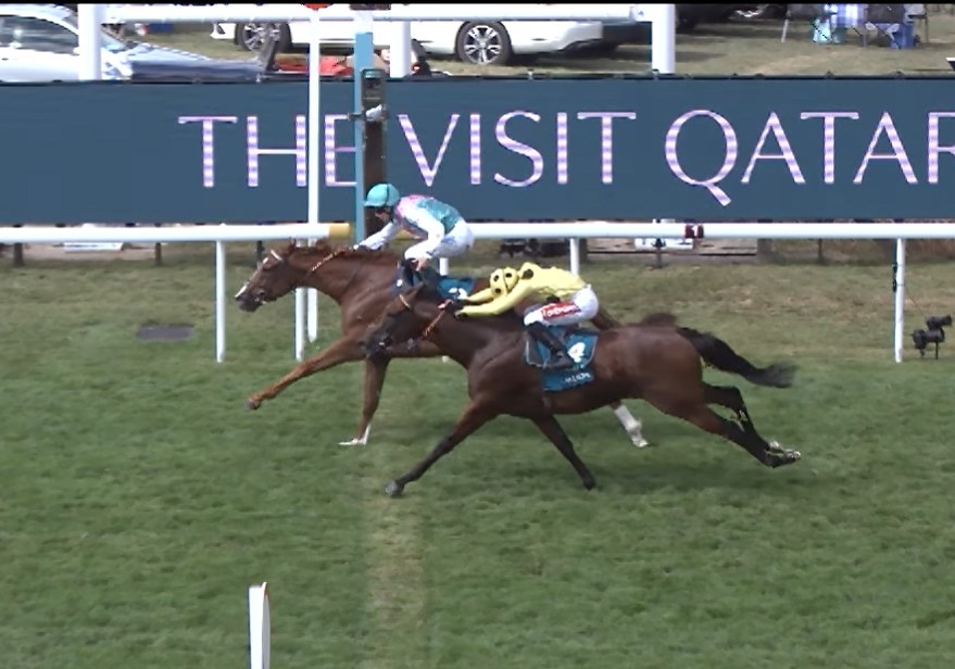 GOODWOOD (Inglaterra): ¡Enorme sorpresa! El castrado inglés QIRAT detonó con un dividendo 150-1 en el SUSSEX S. (G1) y logró pase a la próxima BREEDERS’ CUP MILE (G1)
hipismomundial.com/goodwood-ingla…