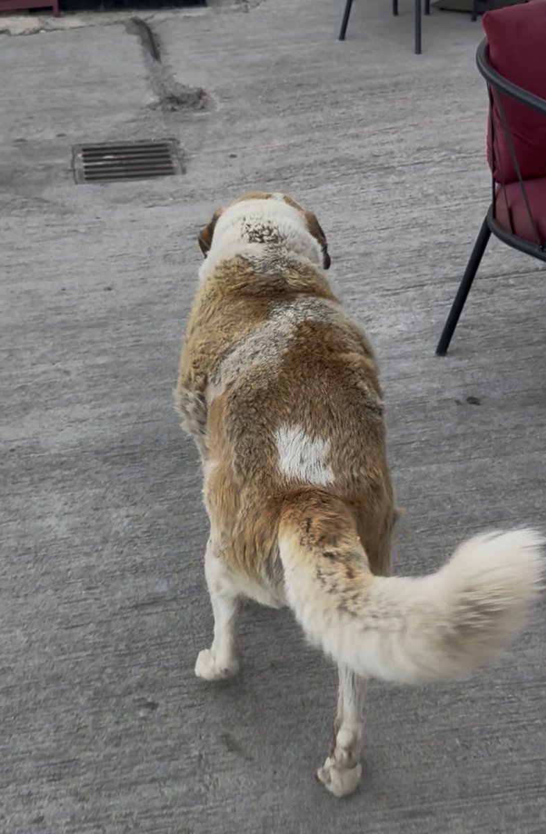 Bu dostumuz kimin peşinden gidiyor ayrıntılar sadece bu akşam EFMEDYA TV ‘de 

Saat ⏰ 21.00