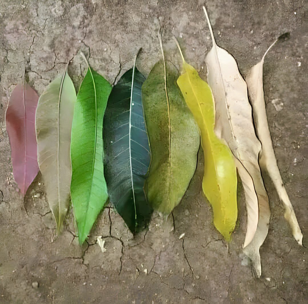 इससे कुछ सीख मिलती है 
ये वक्त है जनाब सब कुछ बदल देता है..!!🔥