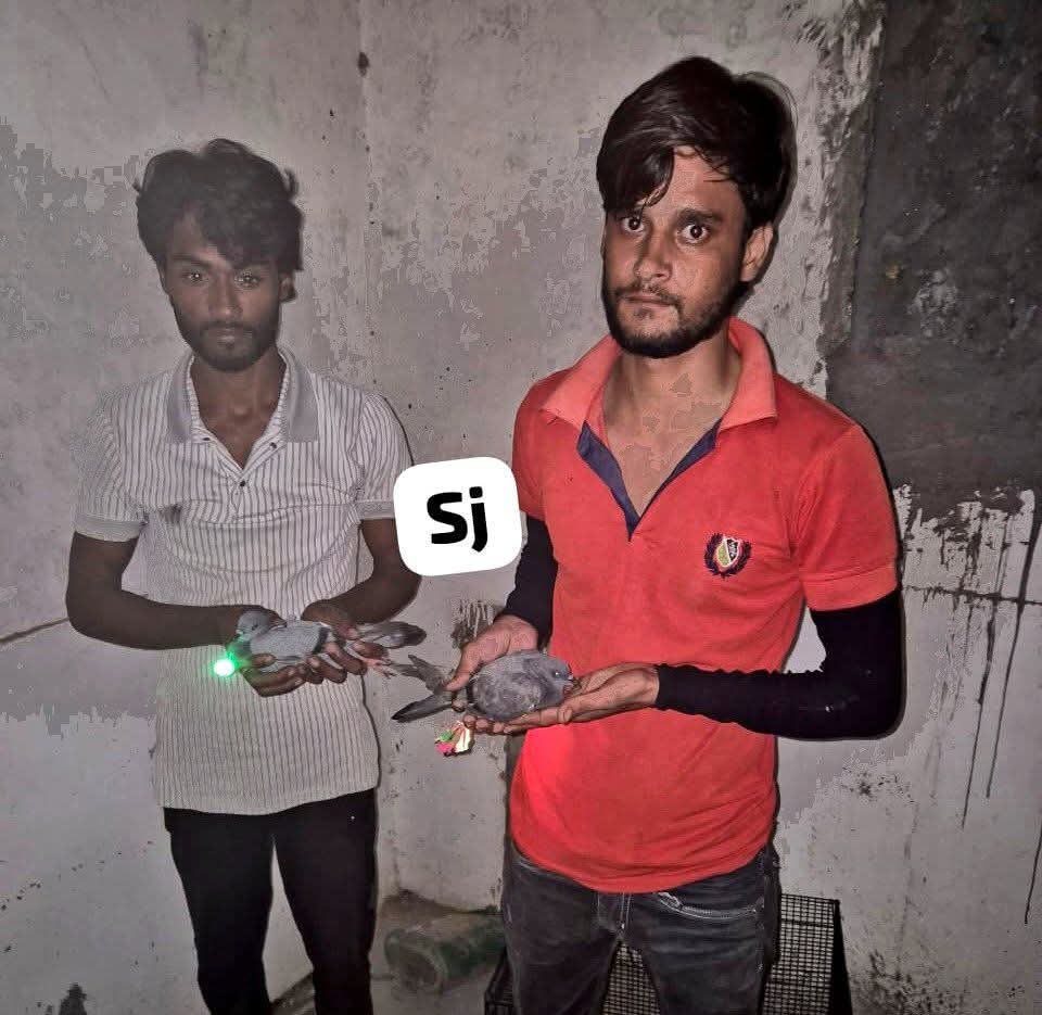 यूपी : मुजफ्फरनगर पुलिस ने ऐसे दो शख्स पकड़े हैं, जो कबूतरों के पैर में लाल–हरी लाइट बांधकर उन्हें रात में उड़ाते थे और ड्रोन का शोर मचवाते थे

शोएब और शाकिर से 2 कबूतर भी मिले हैं

अब यूपी पुल्स इनका अस्तग़फ़िरुल्लाह करेगी