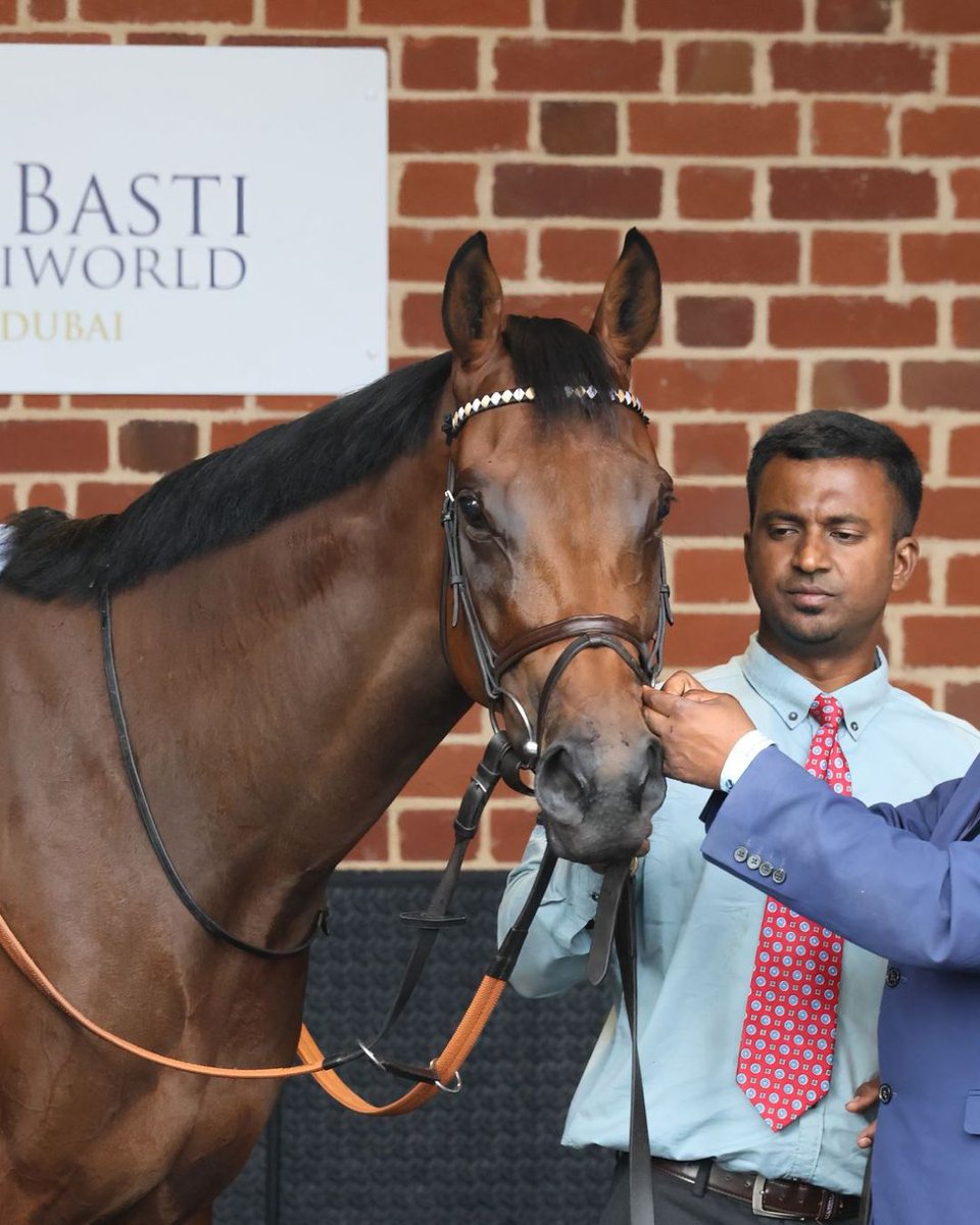 🚨 Treasure Time has been declared for the £150,000 Coral Golden Mile at <a href="/Goodwood_Races/">Goodwood Racecourse</a> this Friday.

A seasoned festival campaigner, he’s taken his owners to many of British racing’s biggest stages. Here’s hoping the rain stays away for another memorable day on the Sussex